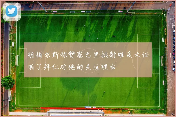 胡梅尔斯称赞塞巴里挑射难度大证明了拜仁对他的关注理由