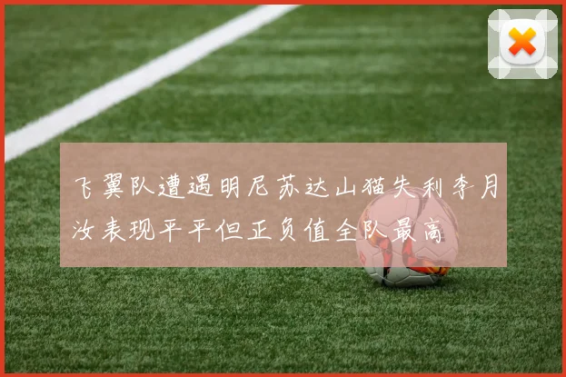飞翼队遭遇明尼苏达山猫失利李月汝表现平平但正负值全队最高