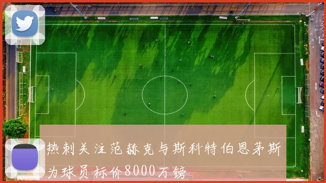 热刺关注范赫克与斯科特伯恩茅斯为球员标价8000万镑