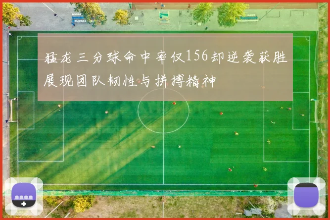 猛龙三分球命中率仅156却逆袭获胜展现团队韧性与拼搏精神