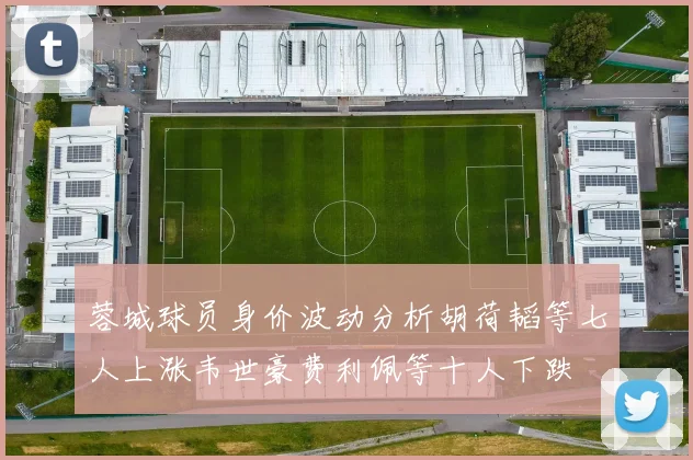 蓉城球员身价波动分析胡荷韬等七人上涨韦世豪费利佩等十人下跌