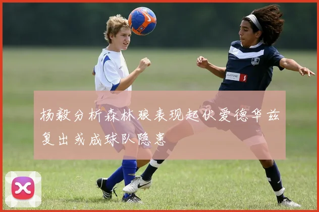 杨毅分析森林狼表现起伏爱德华兹复出或成球队隐患